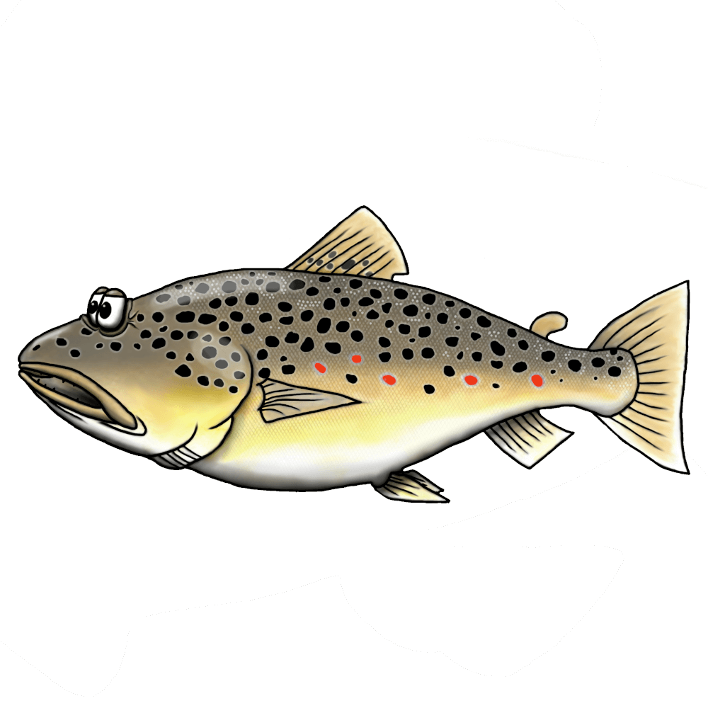 Brown trout - women organic t-shirt