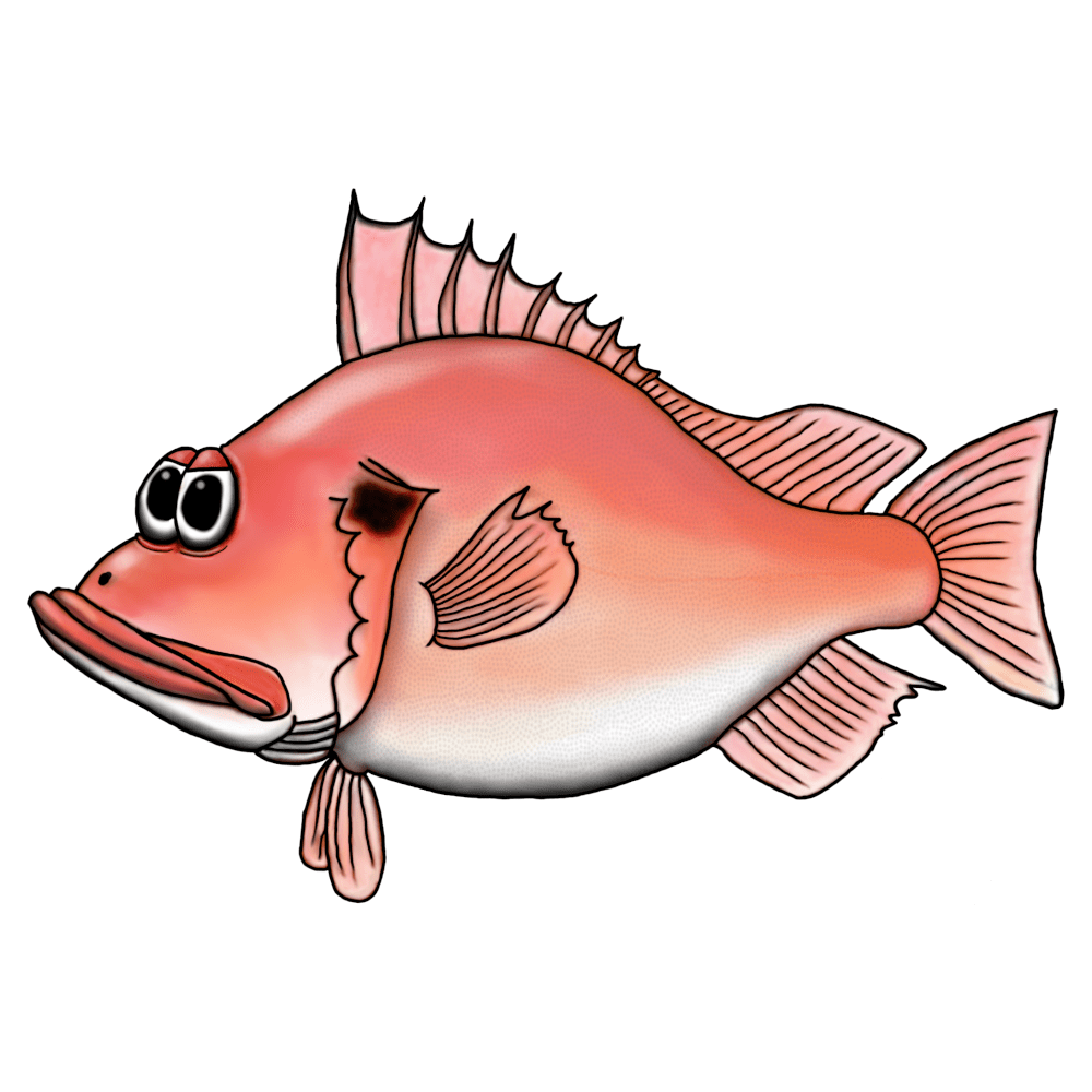 Redfish - Premium ekologisk T-shirt herr