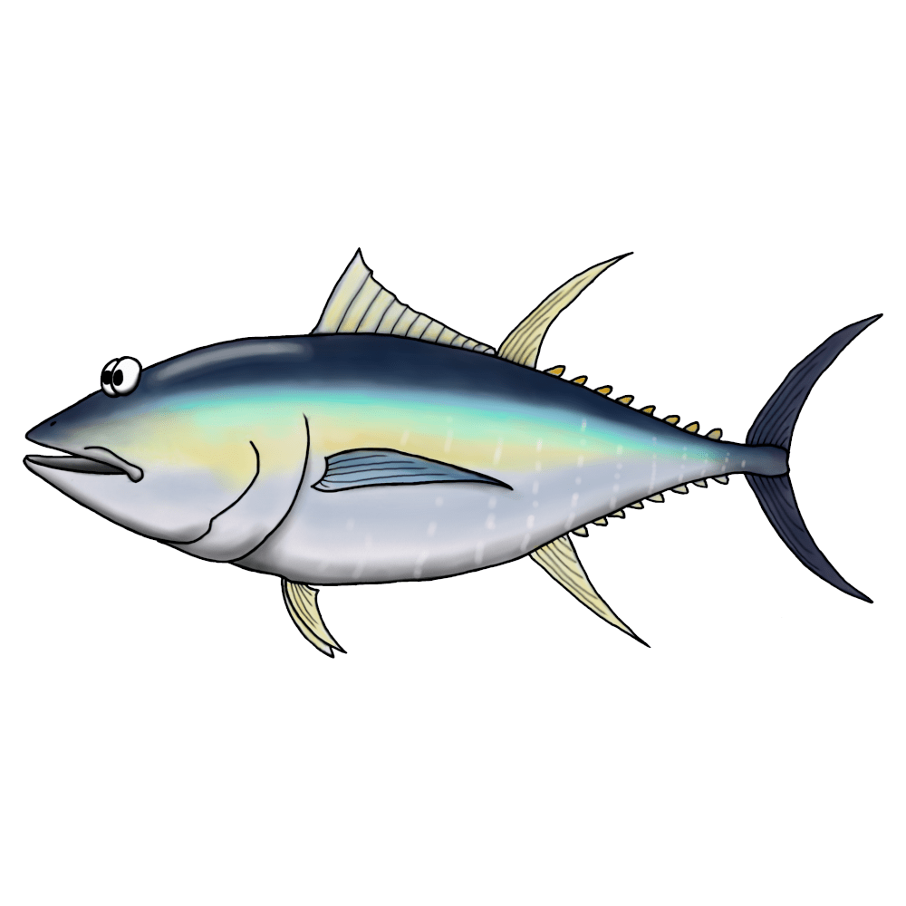 Gulfenad tonfisk / Ahi - Premium ekologisk T-shirt herr